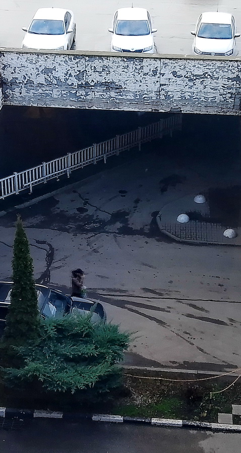 ���������� ����� ������