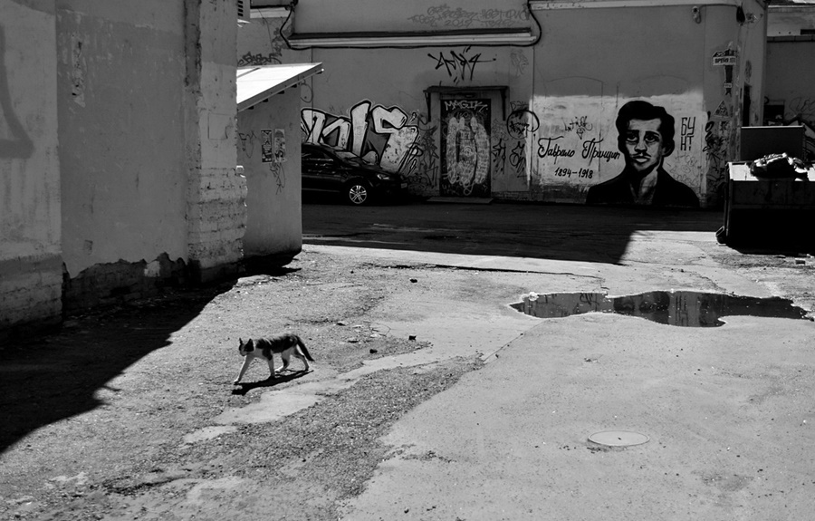 ���������� �������������� ��� 