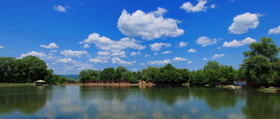 ���������� ������...