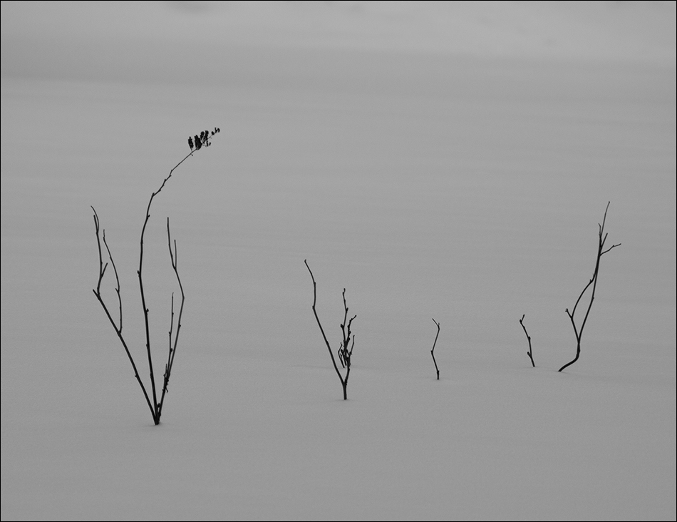 ���������� ������ ���