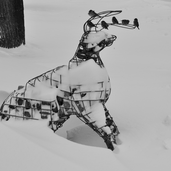 ���������� ***