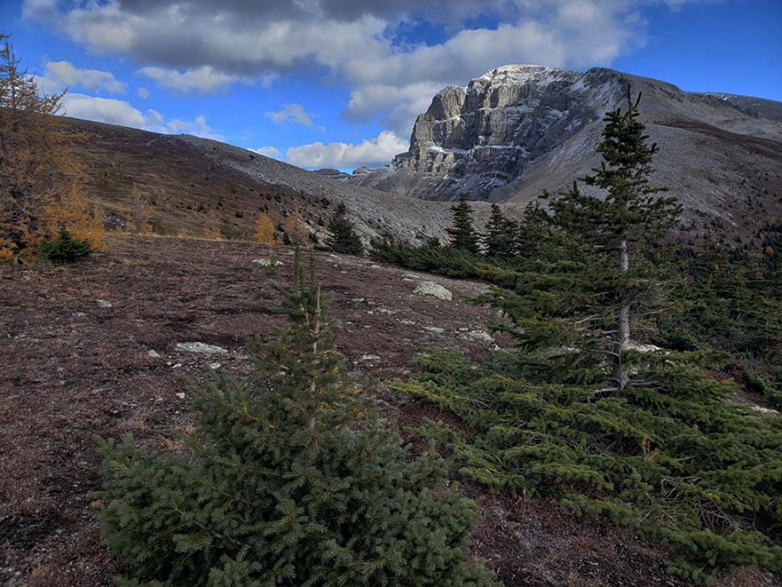 ���������� ��������