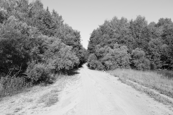 ���������� ����������