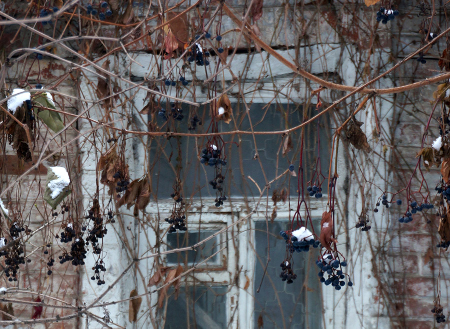 ���������� ������ ��������