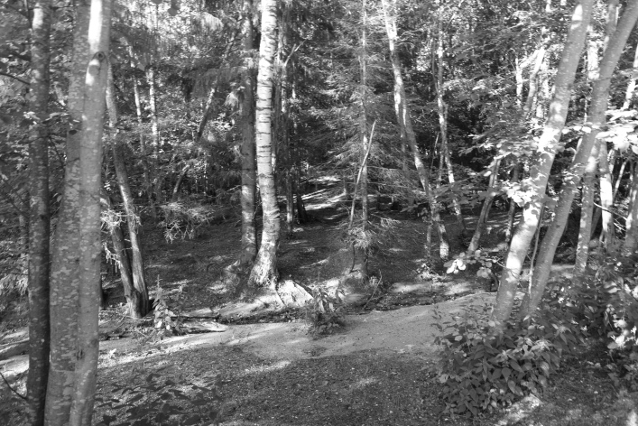 ���������� ����������