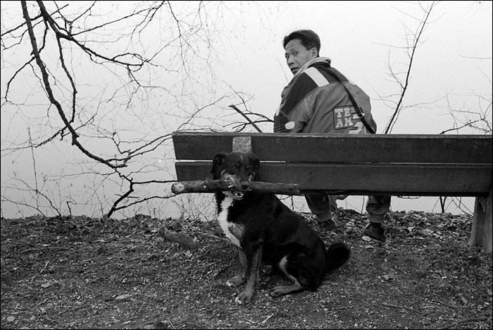 ���������� ***