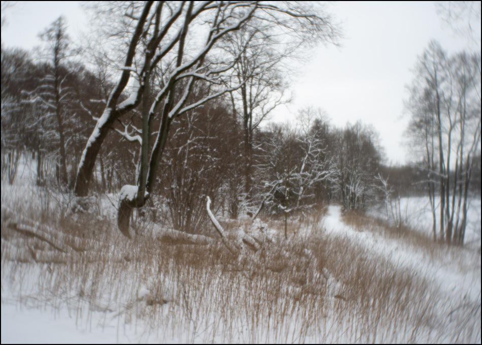 ���������� ����� ���������