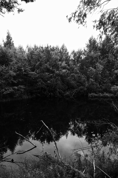 ���������� ����������