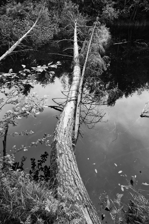 ���������� ����������