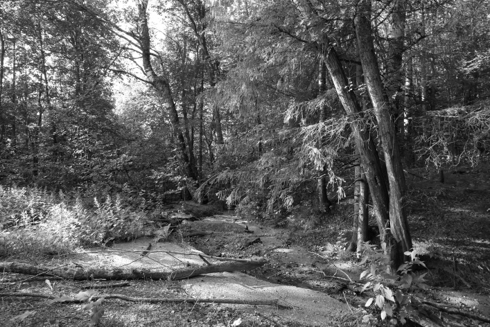 ���������� ����������