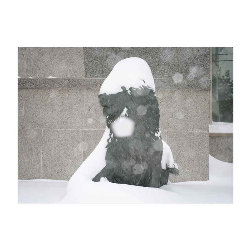 ���������� 1596