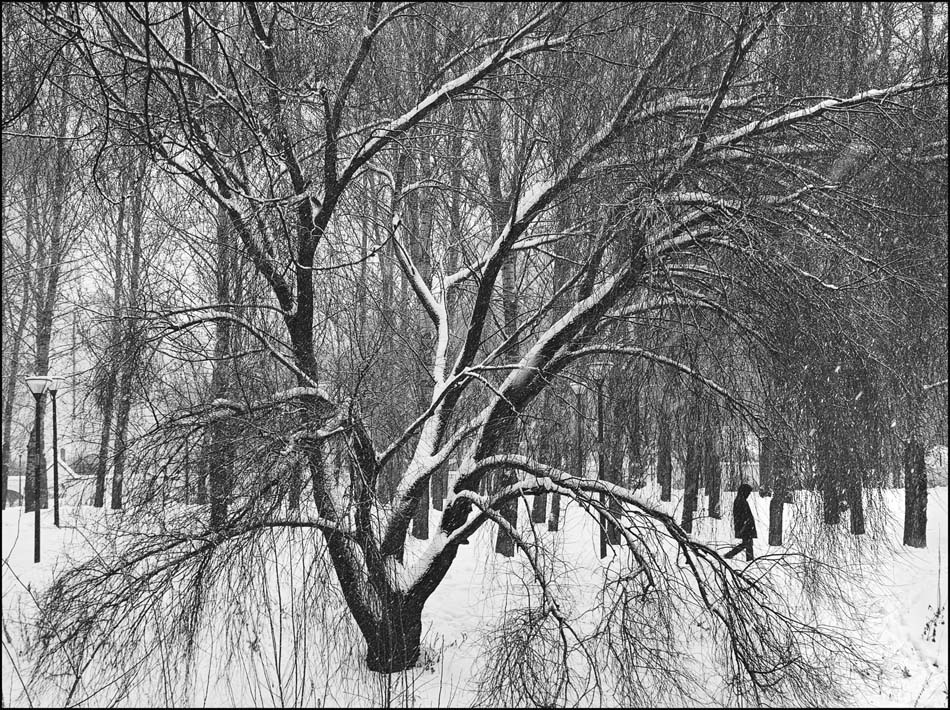 ���������� ***