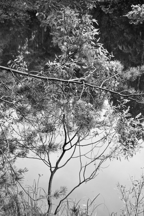 ���������� ����������