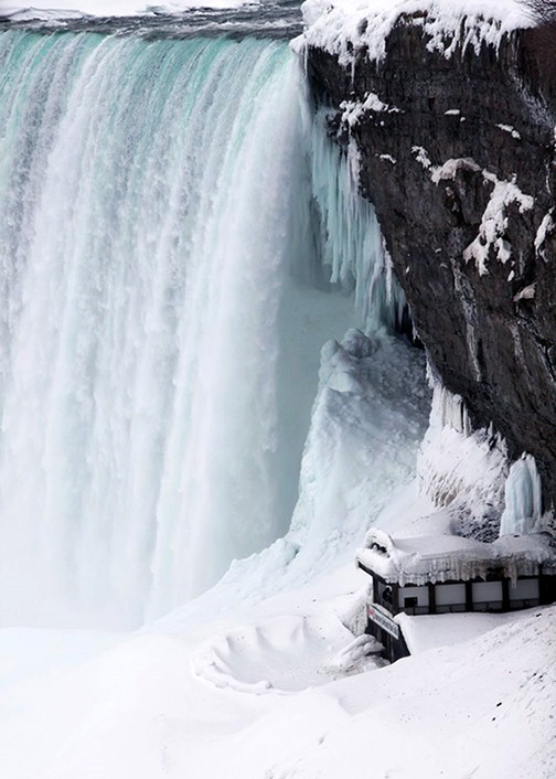 ���������� ****