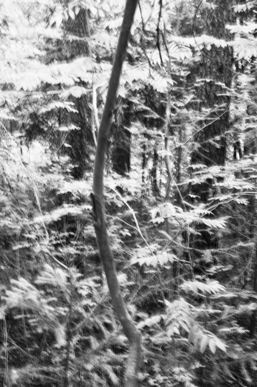 ���������� ����������