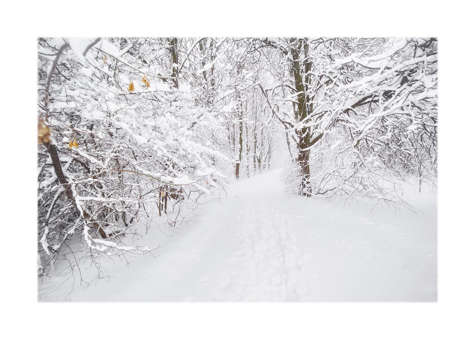 ���������� ***