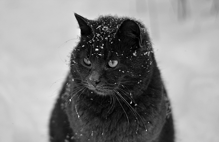 ���������� 57�1b - 2