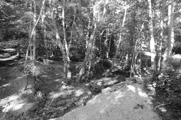 ���������� ����������