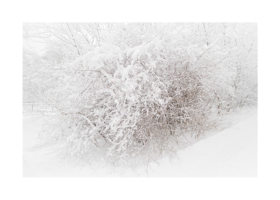 ���������� ���� � �������� �������