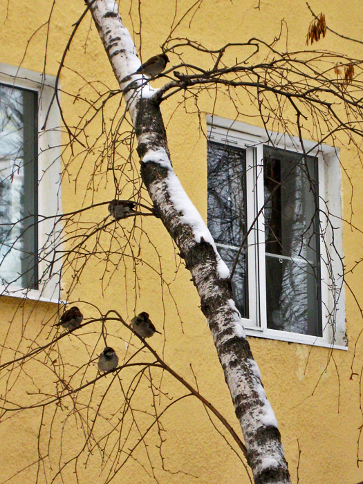 ���������� � ��������...