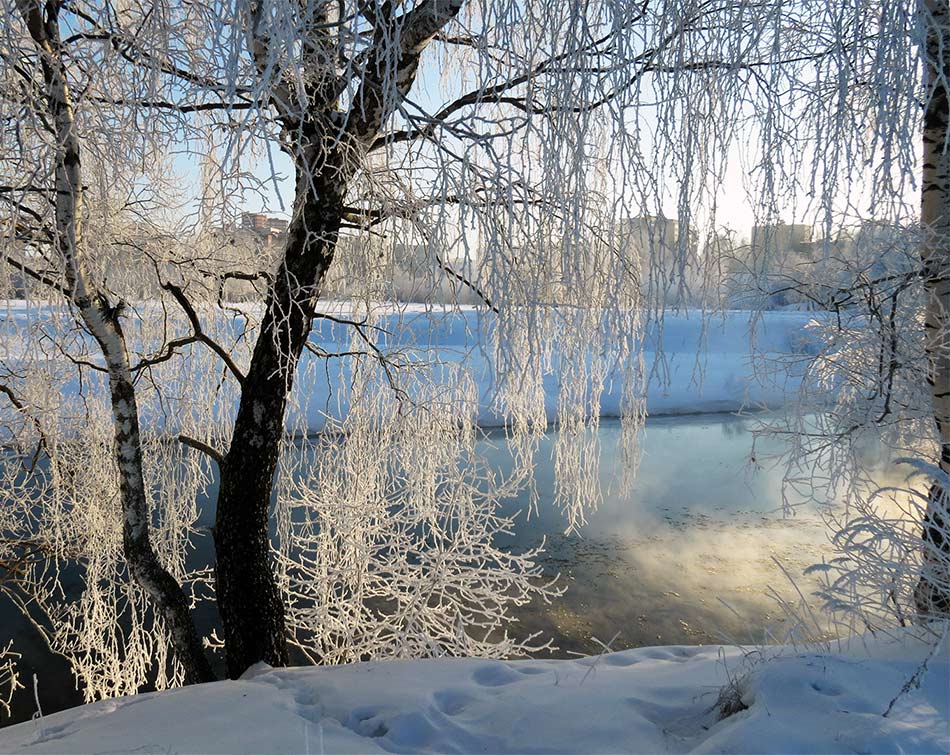 ���������� �� ������ ����� �����!