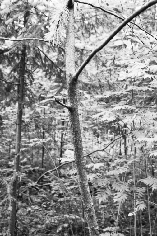 ���������� ����������