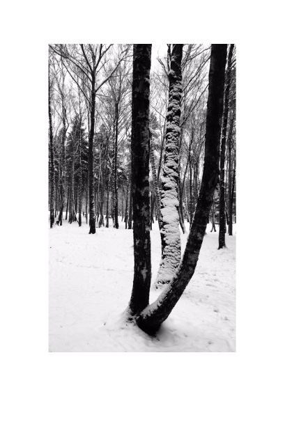 ���������� .