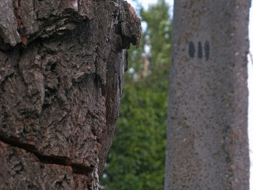 ���������� .