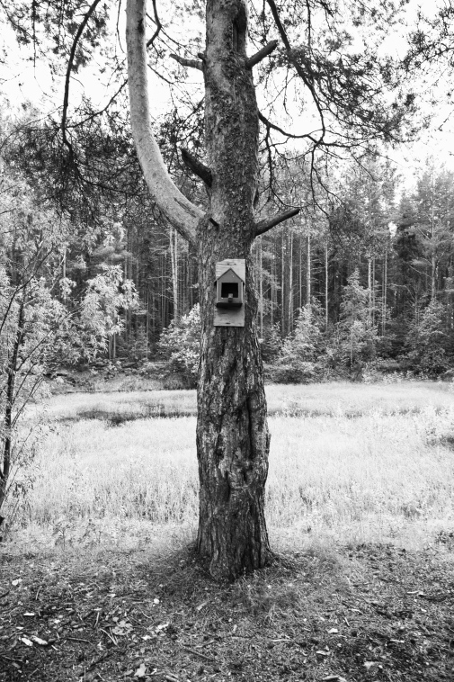 ���������� ����������