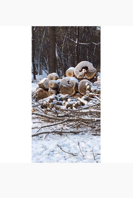 ���������� .