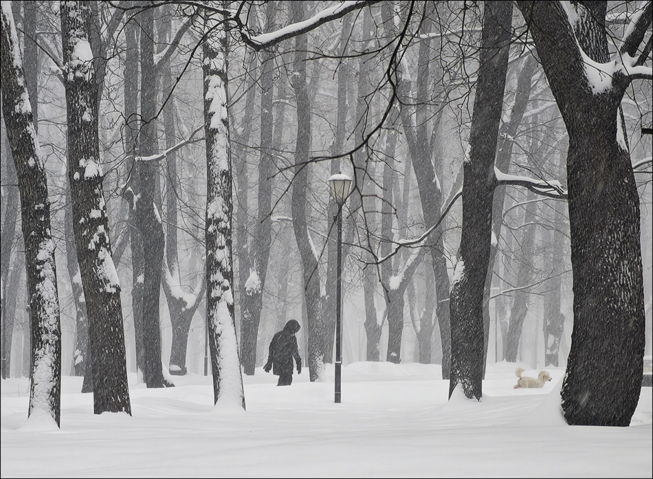 ���������� ������