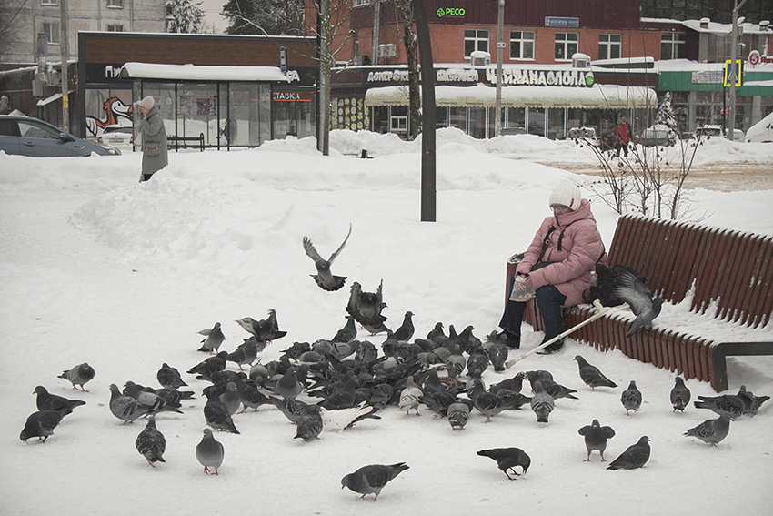 ���������� ***