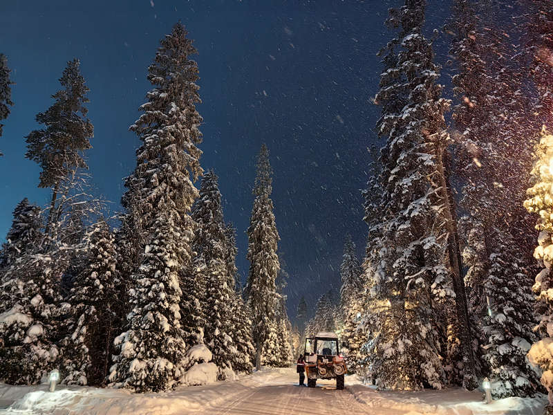 ���������� �������