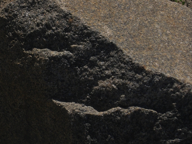 ���������� .