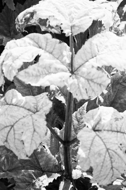 ���������� ����������