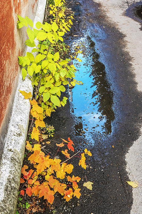 ���������� ...