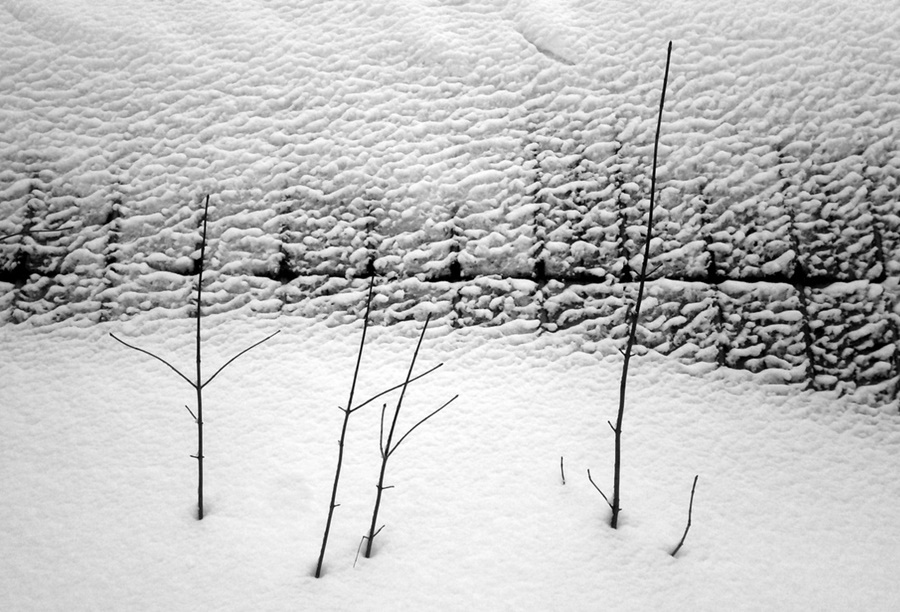 ���������� ***