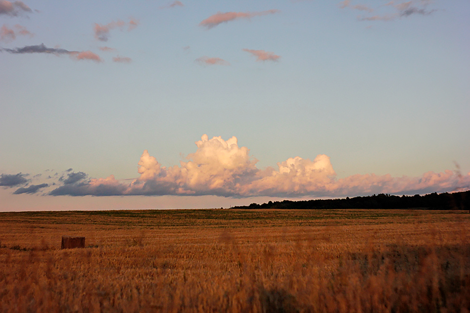 ���������� ������ ������, ������