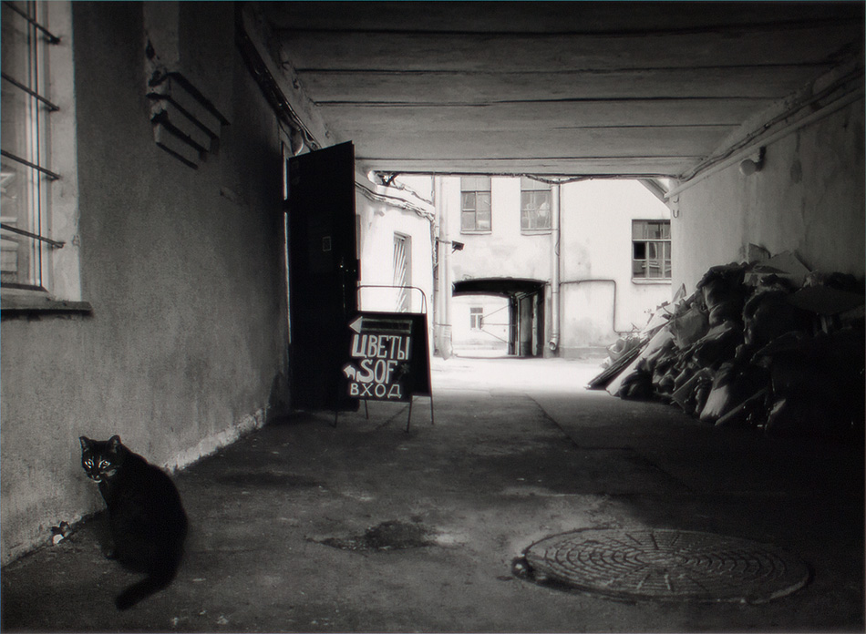 ���������� *