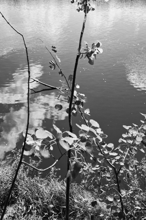 ���������� ����������