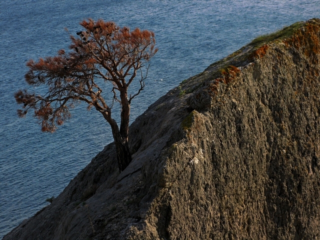 ���������� .