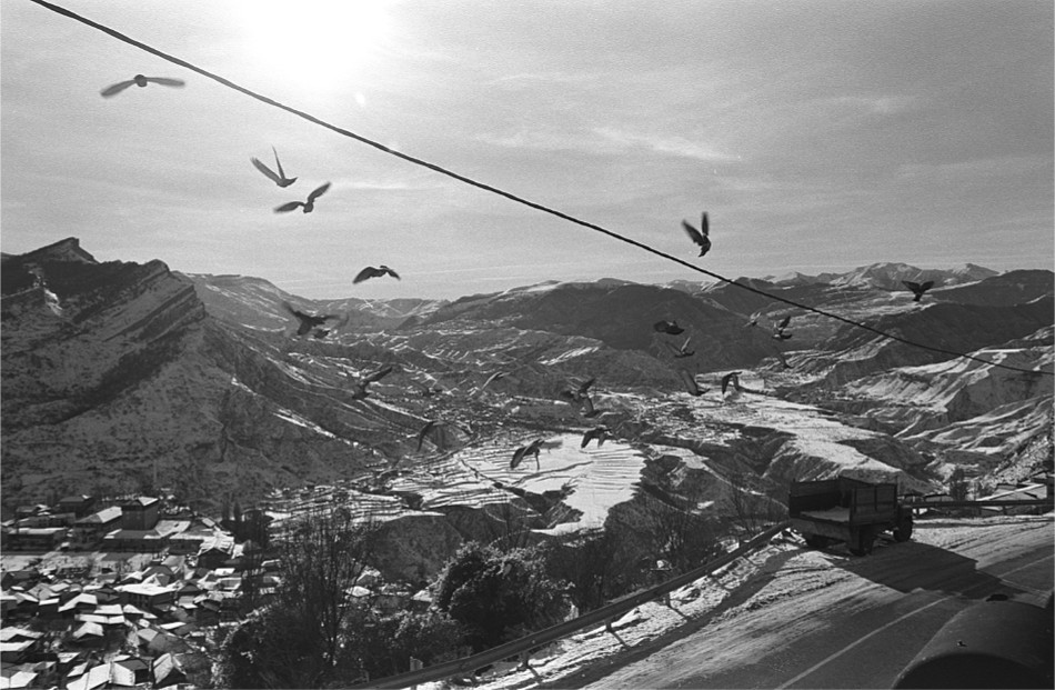 ���������� ***