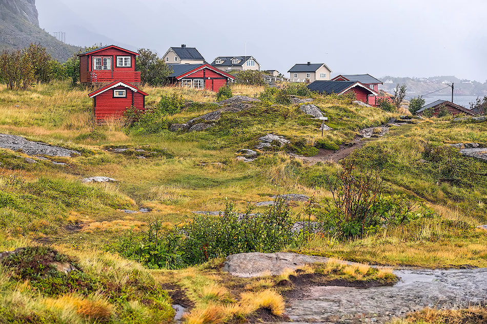 ���������� ***