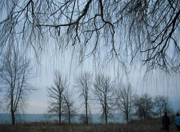 ���������� ***