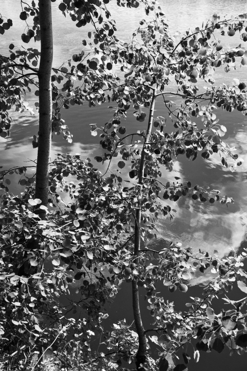 ���������� ����������