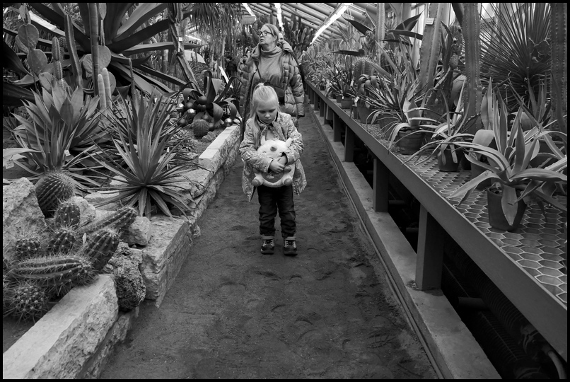 ���������� ���������-�������.