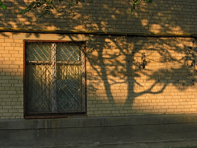 ���������� .