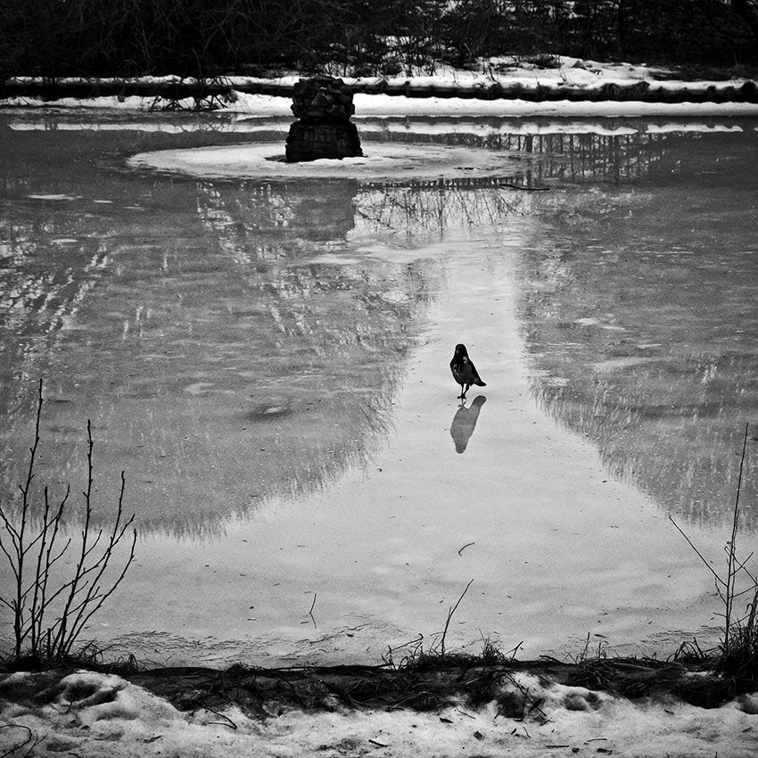 ���������� �������� �� ����