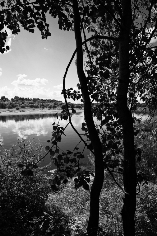 ���������� ����������