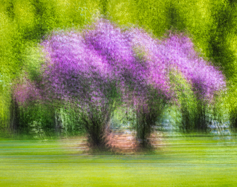 ���������� ***